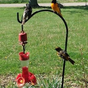 Meet your Posher, Terry